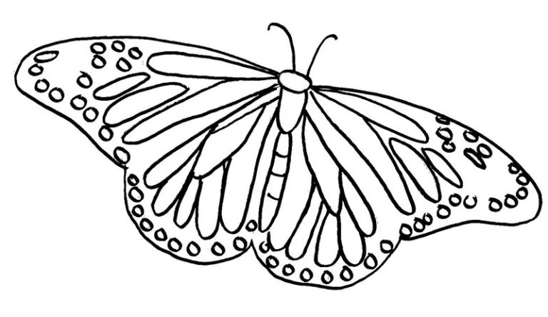 Butterfly Coloring Pages Free To Download