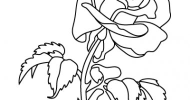 Featured image of post Easy Rose Coloring Pages / Letter coloring pages of alphabet.