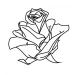 Rose Coloring Pages with Petals