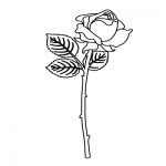 Rose Coloring Pages with Stick