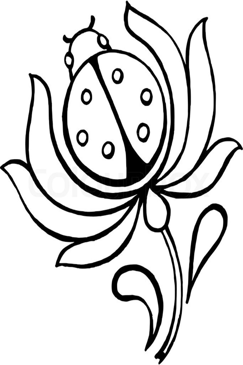 Collection of Cute Coloring Pages for Girls