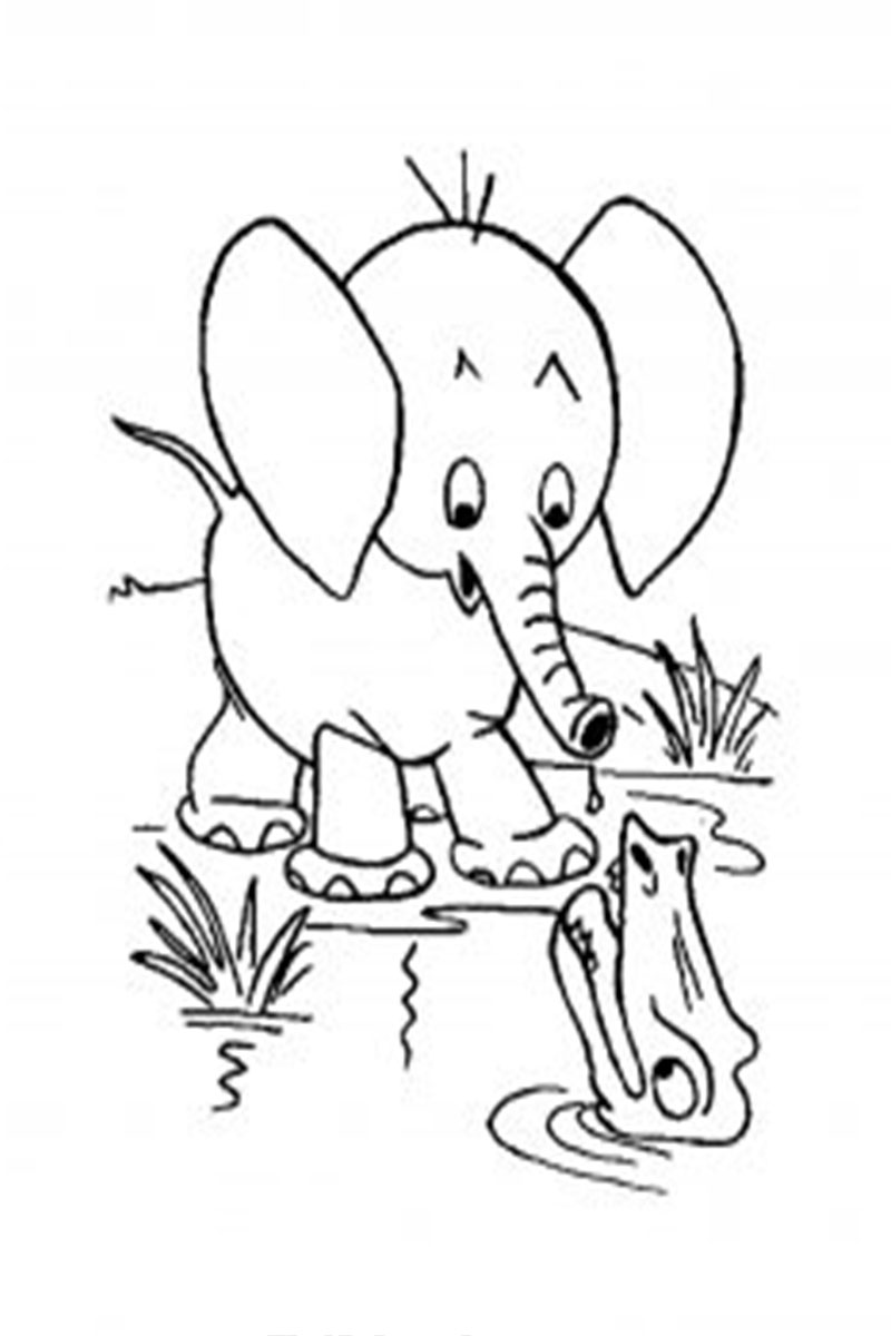 Elephant Baby Coloring Pages Super Cute