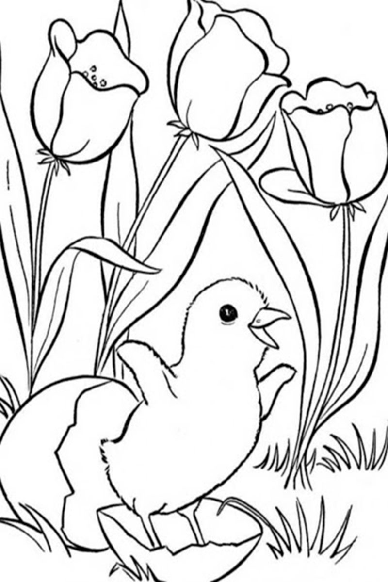 Free Coloring Pages for Girls Flowers