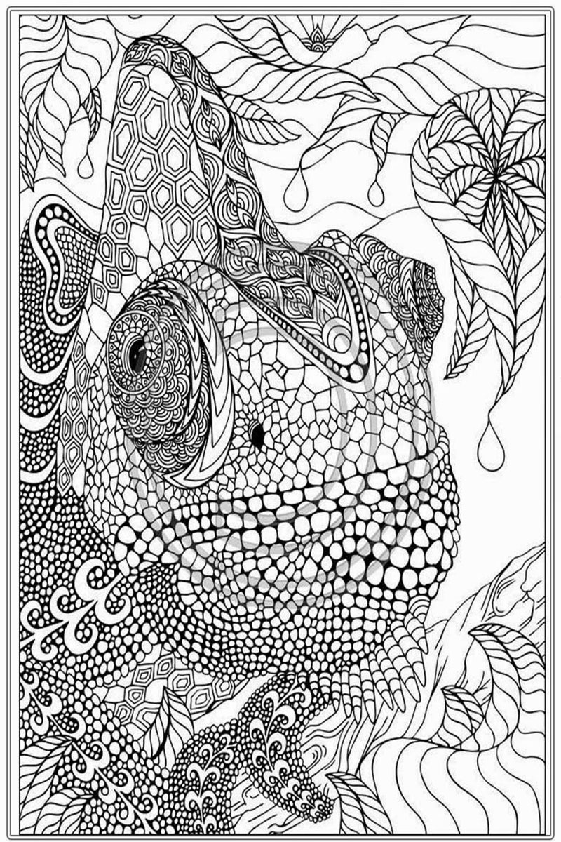 Cool Coloring Pages for Adults