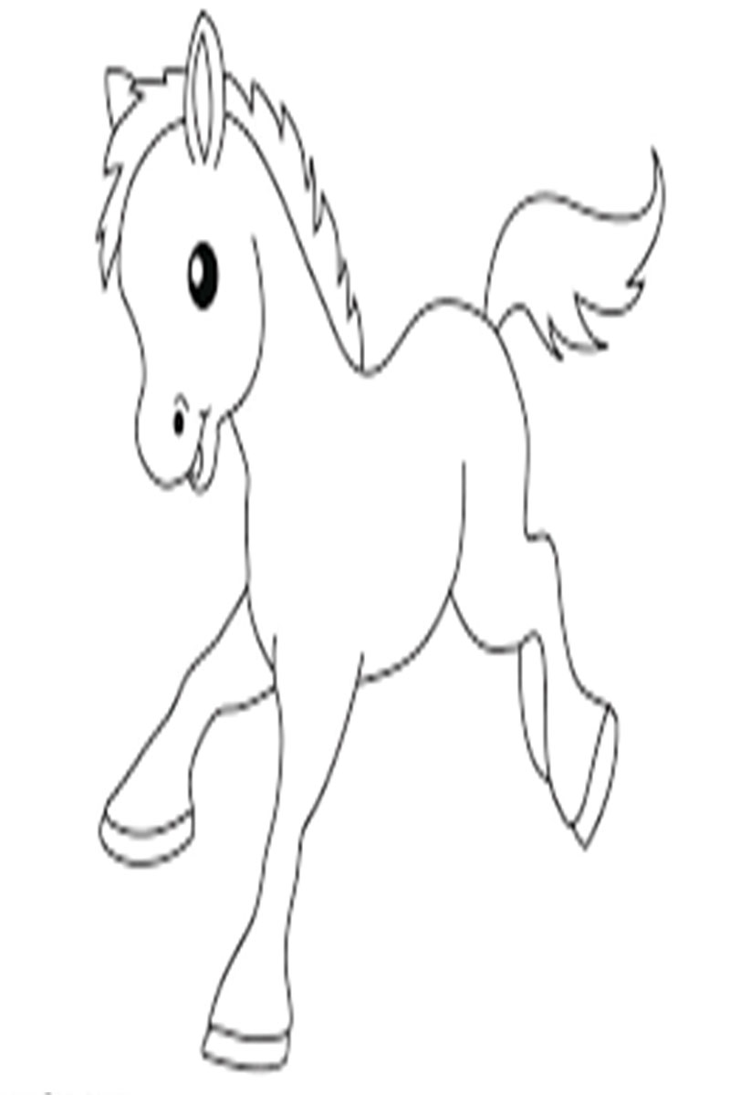 Funny Animal Cartoon Coloring Pages