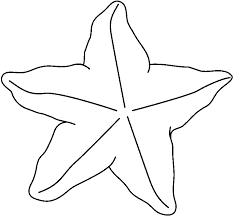 Stars Coloring Pages for Kindergarten