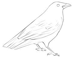 Crow Coloring Pages for Kids