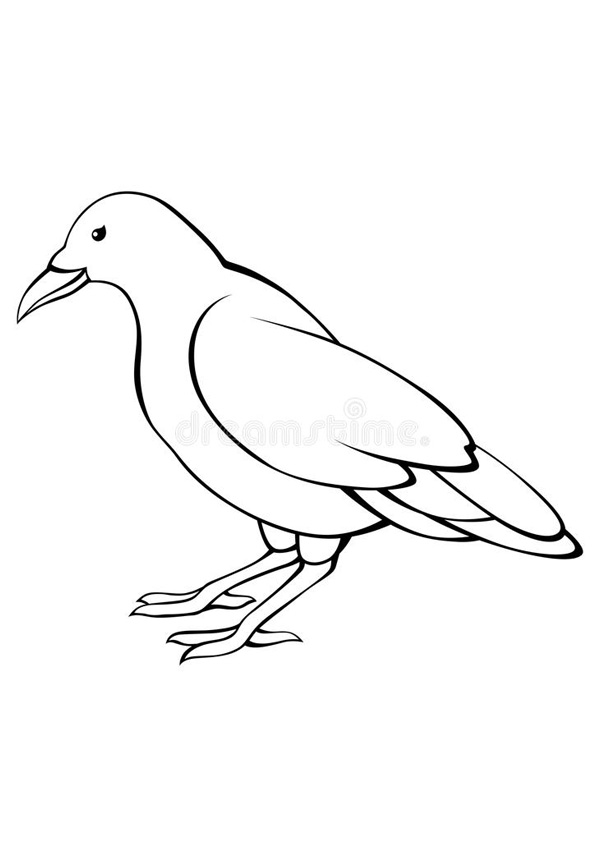 Cute Crow Coloring Pages Free
