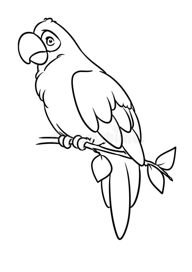 Parrot Coloring Pages to Print Free