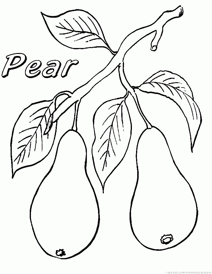 Pear Coloring Pages Print