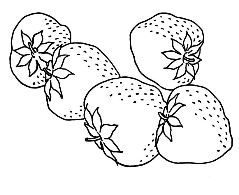 Strawberry Coloring Pages for Kids