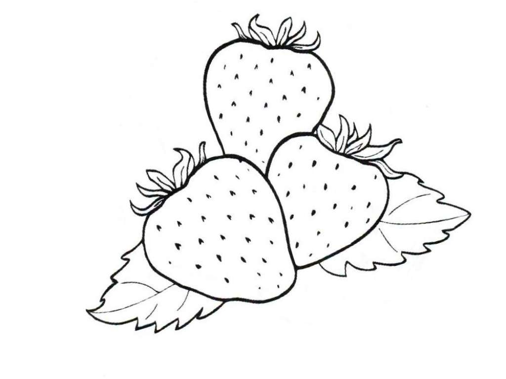 Strawberry Coloring Pages to Print