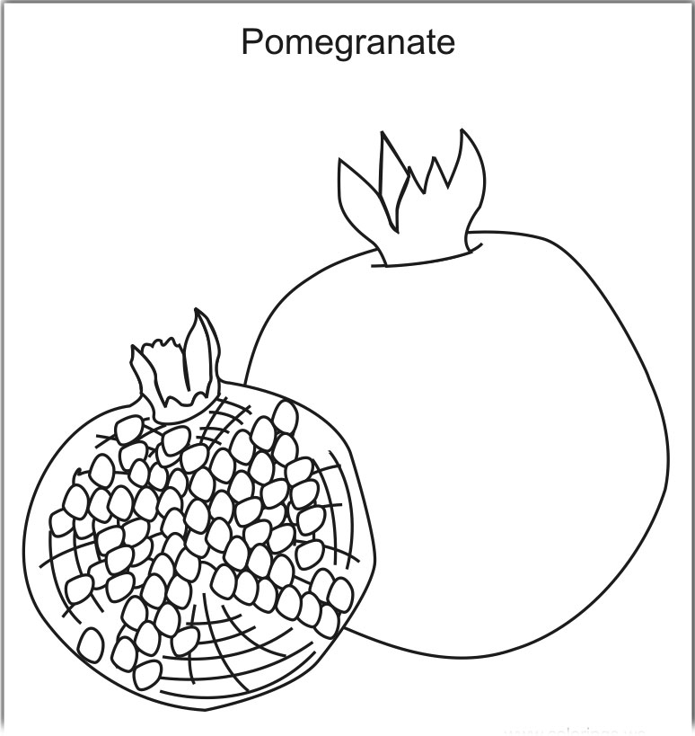 Free Printable Pomegranate Coloring Page