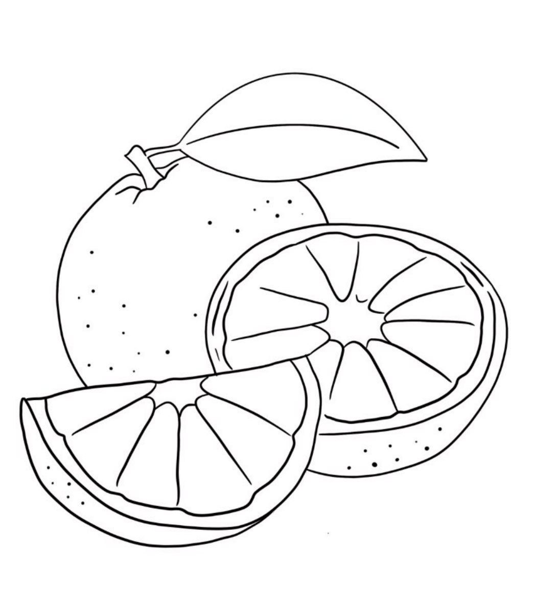 Orange Coloring Pages Free