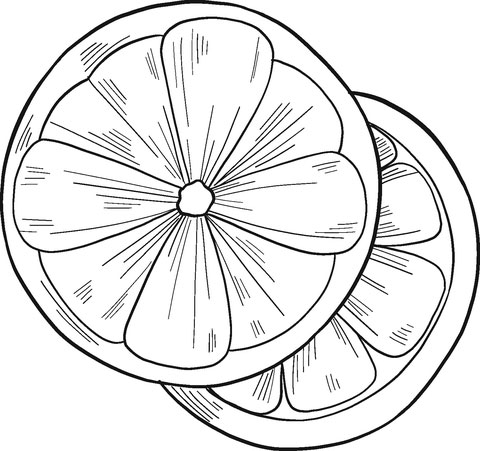 Orange Coloring Pages to Print