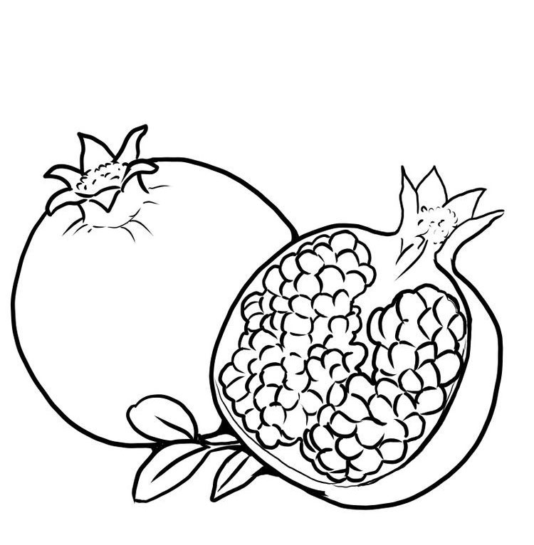 Pomegranate Coloring Page