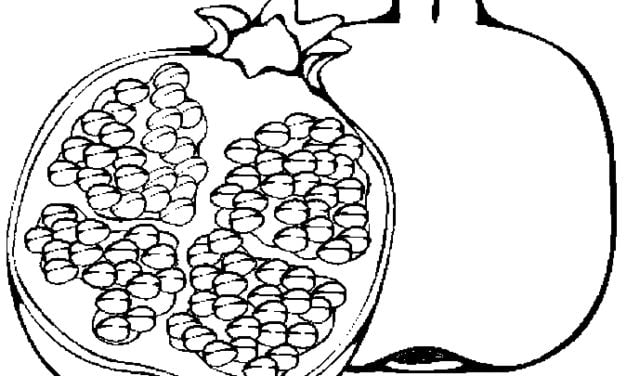 Pomegranate Coloring Pages Download