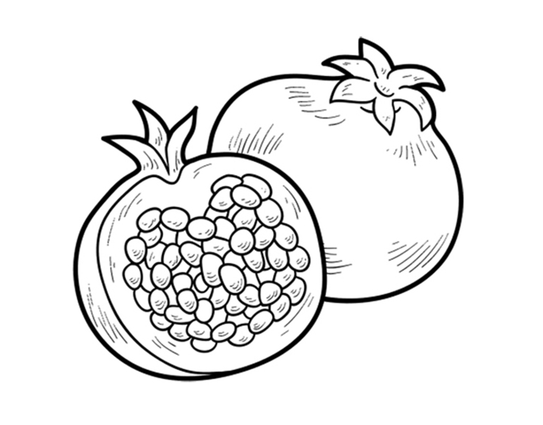 Pomegranate Colouring Pages
