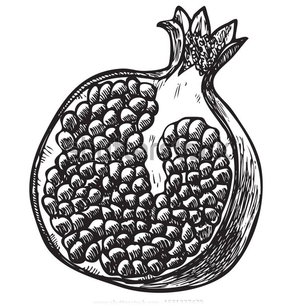 Printable Pomegranate Coloring Page