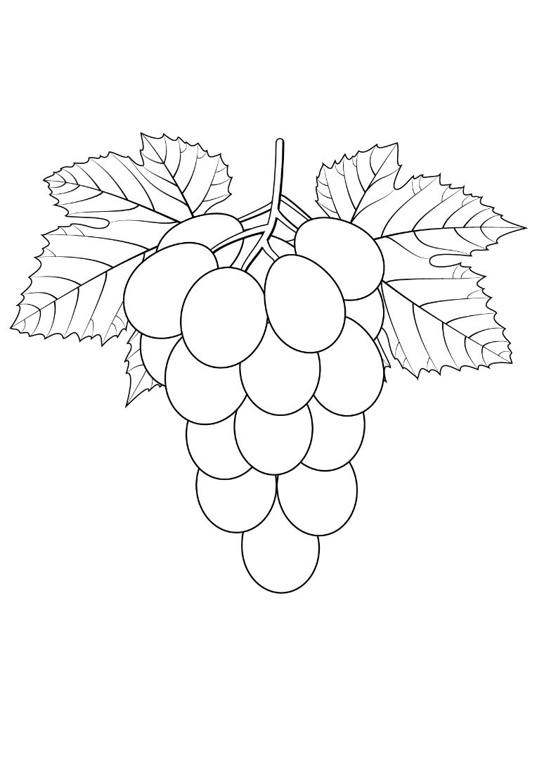 Grapes Coloring Pages Download