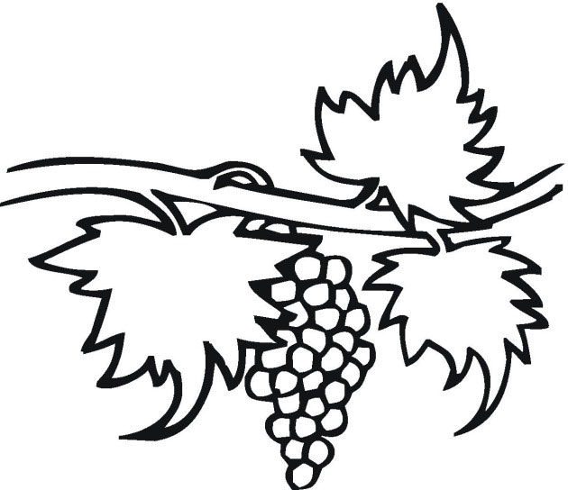 Grapes Coloring Pages Free