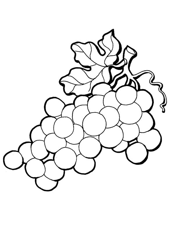 Grapes Coloring Pages for Preschoolers