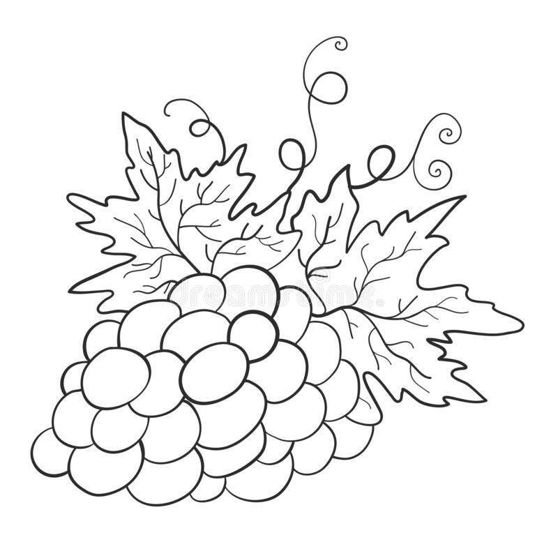 Grapes Coloring Pages