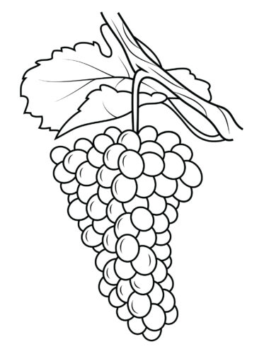 Grapes Colouring Pages Free | Free Coloring Pages