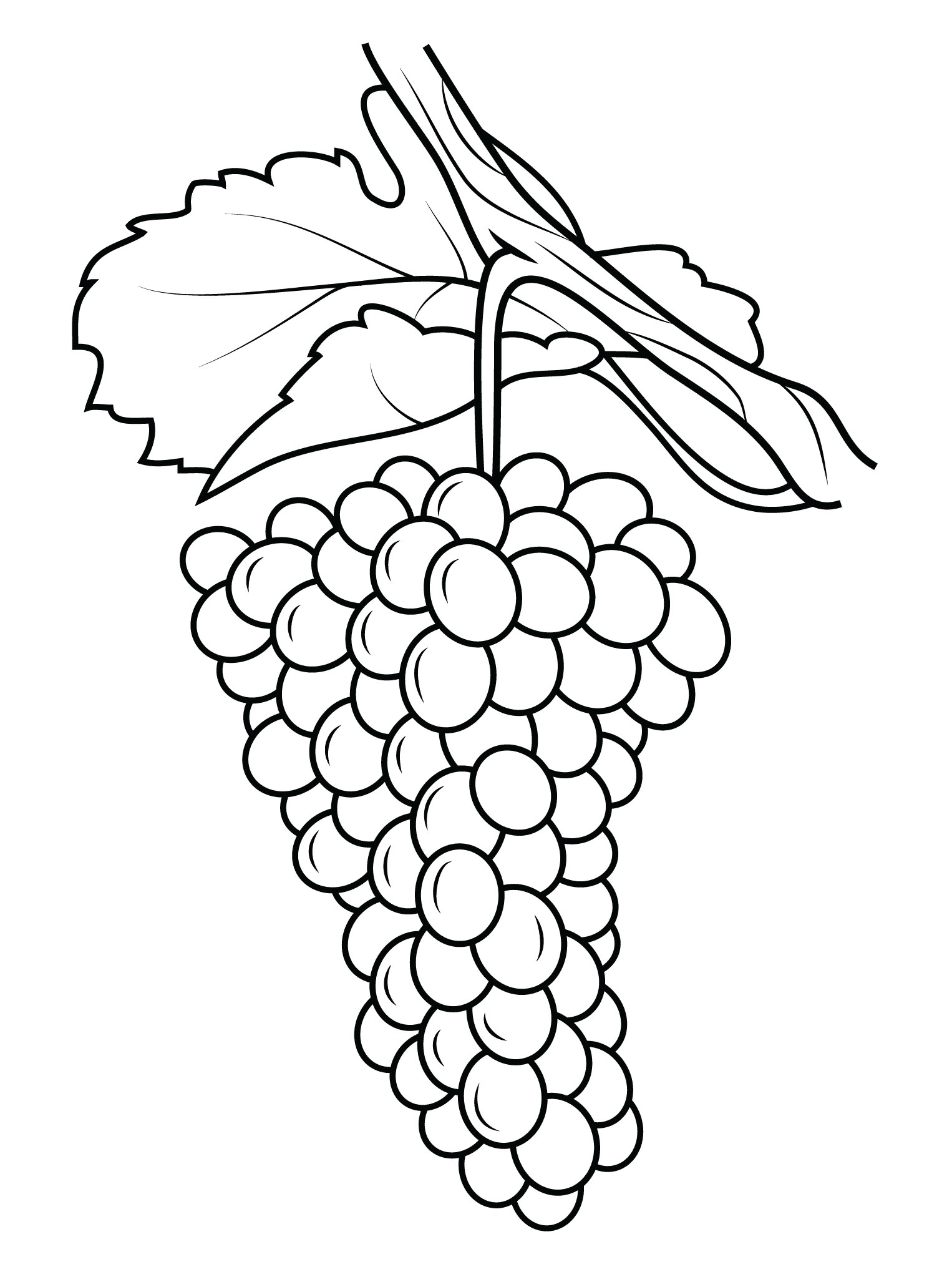 Grapes Colouring Pages Free