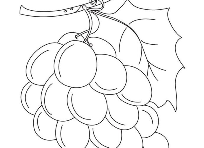 Grapes Colouring Picture
