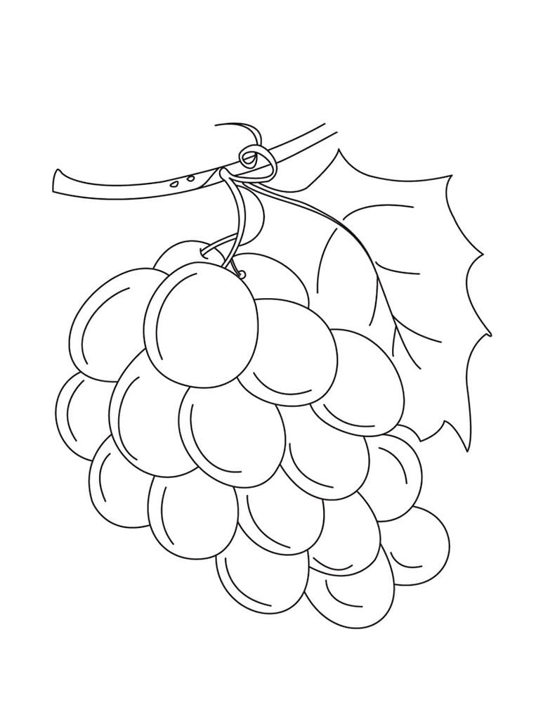 Grapes Colouring Picture