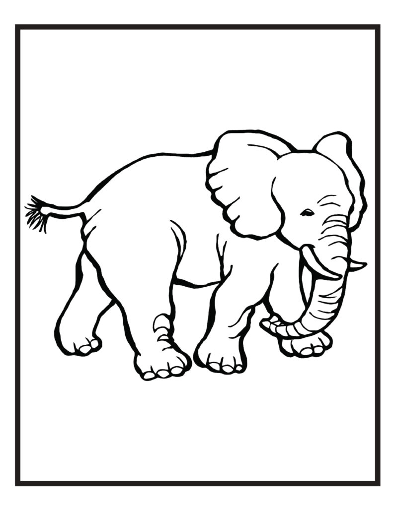 19 Zoo Animals Coloring Pages Printable