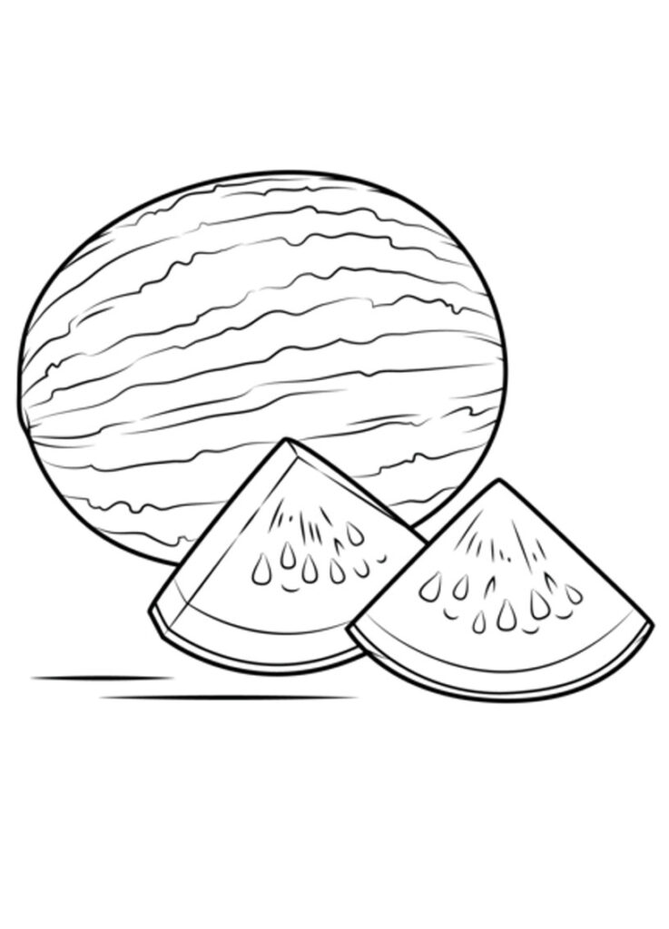 45+ Watermelon Coloring Page