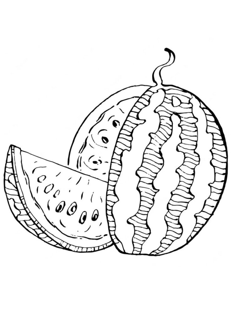 45+ Watermelon Coloring Page